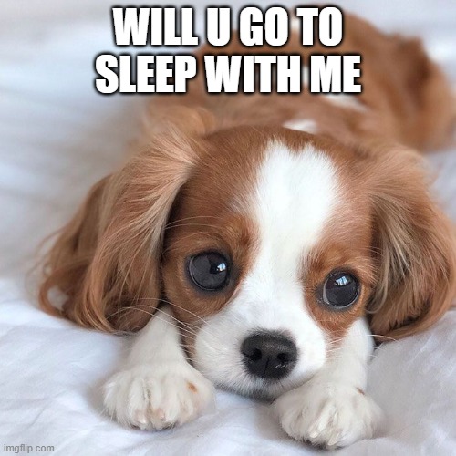 I am sleepy |  WILL U GO TO SLEEP WITH ME | made w/ Imgflip meme maker
