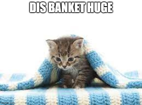 blanket | DIS BANKET HUGE | made w/ Imgflip meme maker