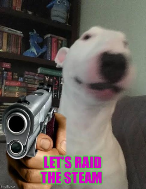 End tiktok | LET’S RAID THE STEAM | image tagged in walter holding gun | made w/ Imgflip meme maker