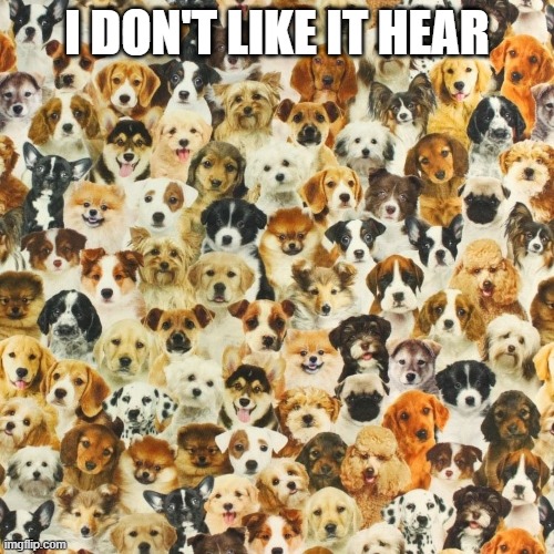 dog | I DON'T LIKE IT HEAR | made w/ Imgflip meme maker