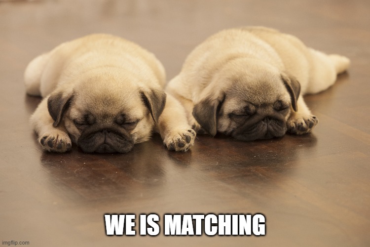match | WE IS MATCHING | image tagged in match | made w/ Imgflip meme maker