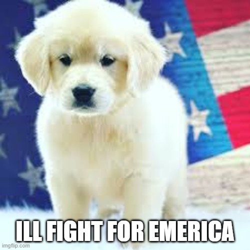 fight for america | ILL FIGHT FOR EMERICA | image tagged in america | made w/ Imgflip meme maker