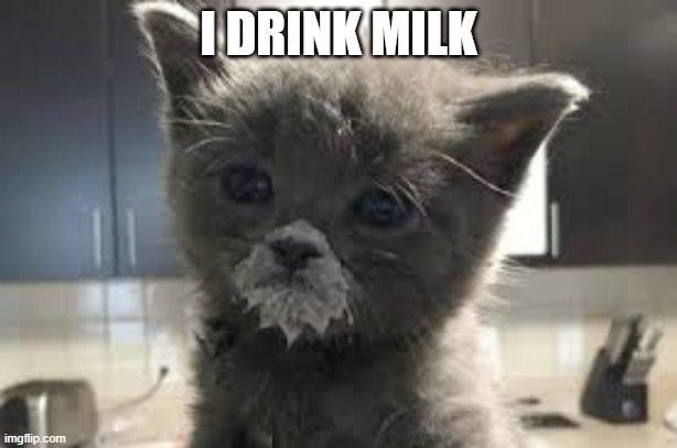 MILK | I DRINK MILK | made w/ Imgflip meme maker