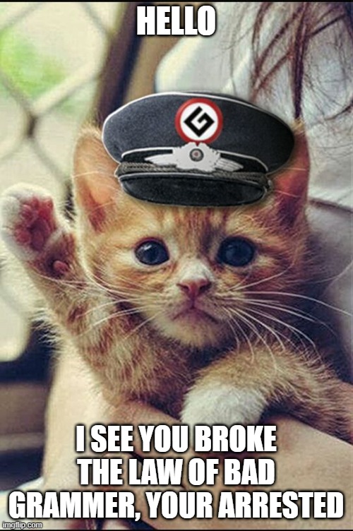 Grammer Kitty | HELLO I SEE YOU BROKE THE LAW OF BAD GRAMMER, YOUR ARRESTED | image tagged in grammer kitty | made w/ Imgflip meme maker