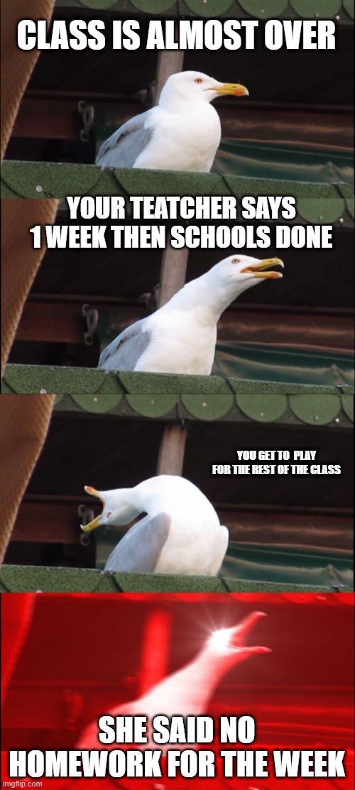 Inhaling Seagull | CLASS IS ALMOST OVER; YOUR TEATCHER SAYS 1 WEEK THEN SCHOOLS DONE; YOU GET TO  PLAY FOR THE REST OF THE CLASS; SHE SAID NO HOMEWORK FOR THE WEEK | image tagged in memes,inhaling seagull | made w/ Imgflip meme maker