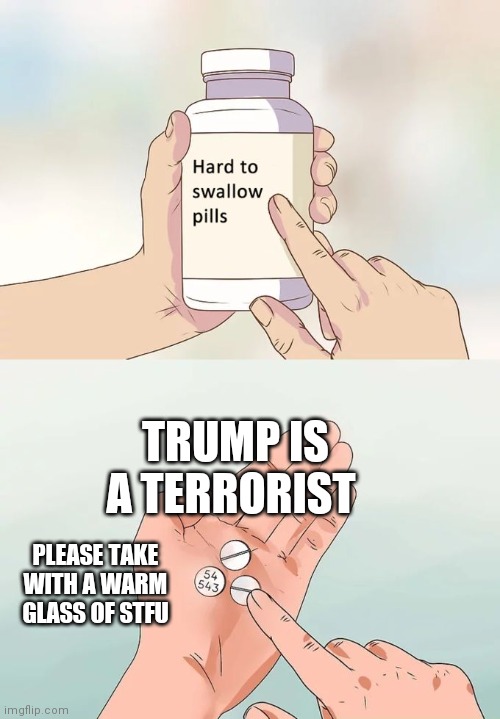 STFU Trumptroll | TRUMP IS A TERRORIST; PLEASE TAKE WITH A WARM GLASS OF STFU | image tagged in memes,hard to swallow pills,stfu,trump,terrorism,trumptroll | made w/ Imgflip meme maker