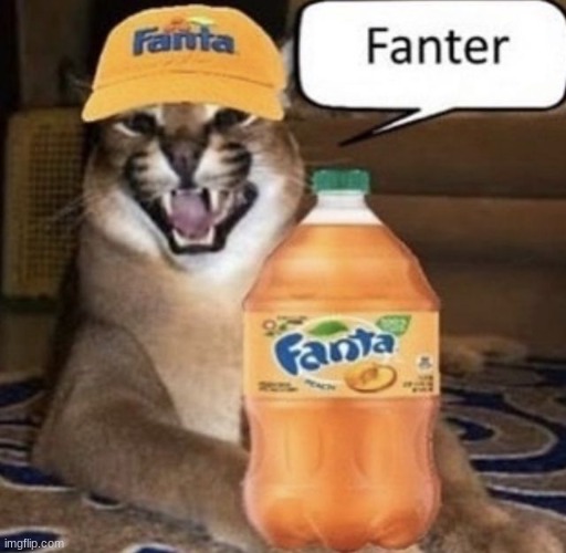 fanter | image tagged in floppa | made w/ Imgflip meme maker