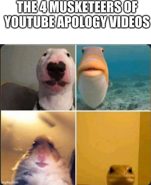 THE 4 MUSKETEERS OF YOUTUBE APOLOGY VIDEOS | image tagged in blank white template,online classes | made w/ Imgflip meme maker