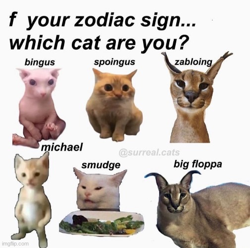 Zabloing | made w/ Imgflip meme maker