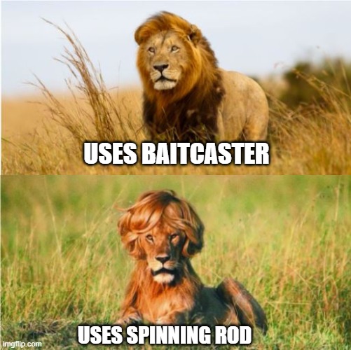 Baitcaster vs Spinning rod Biggtime Lion | USES BAITCASTER; USES SPINNING ROD | image tagged in lion,fishing | made w/ Imgflip meme maker