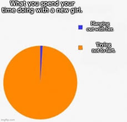 Pie Chart Meme | What you spend your time doing with a new girl. Hanging out with her. Trying not to fart. | image tagged in pie chart meme | made w/ Imgflip meme maker