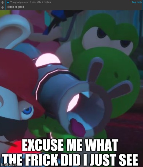 What The Frick, Thegoodperson. | EXCUSE ME WHAT THE FRICK DID I JUST SEE | made w/ Imgflip meme maker
