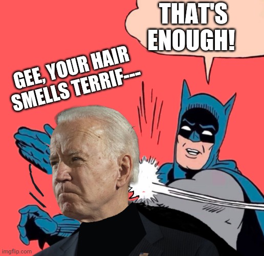 BIDEN BLUNDERED AGAIN | THAT'S ENOUGH! GEE, YOUR HAIR SMELLS TERRIF--- | image tagged in biden blundered again | made w/ Imgflip meme maker