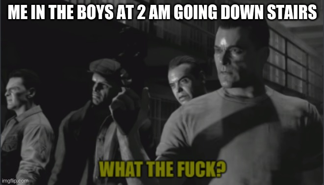 what the frick? | ME IN THE BOYS AT 2 AM GOING DOWN STAIRS | image tagged in what the frick | made w/ Imgflip meme maker