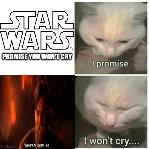 I promise I won't cry | PROMISE YOU WON'T CRY | image tagged in i promise i won't cry | made w/ Imgflip meme maker