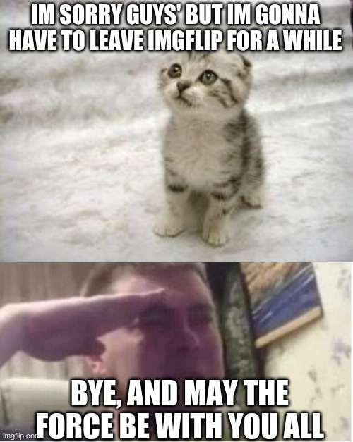 bye everyone... | IM SORRY GUYS' BUT IM GONNA HAVE TO LEAVE IMGFLIP FOR A WHILE; BYE, AND MAY THE FORCE BE WITH YOU ALL | image tagged in memes,sad cat,crying salute,i quit | made w/ Imgflip meme maker