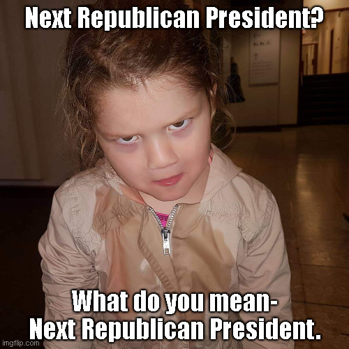 What do you mean | Next Republican President? What do you mean-
Next Republican President. | image tagged in what do you mean | made w/ Imgflip meme maker