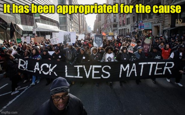 Black lives matter | It has been appropriated for the cause | image tagged in black lives matter | made w/ Imgflip meme maker