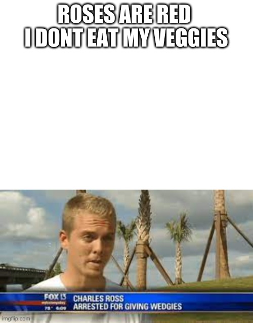 Another one | ROSES ARE RED 
I DONT EAT MY VEGGIES | image tagged in blank white template | made w/ Imgflip meme maker