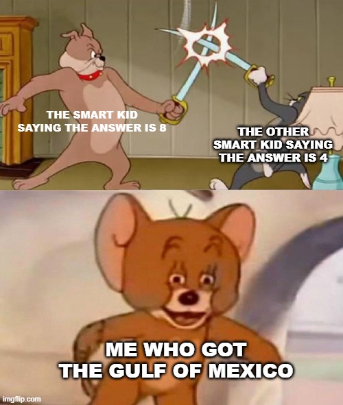 Stop reading this | THE SMART KID SAYING THE ANSWER IS 8; THE OTHER SMART KID SAYING THE ANSWER IS 4; ME WHO GOT THE GULF OF MEXICO | image tagged in tom and jerry swordfight,stop reading the tags,stop it,i said stop,stoooppp | made w/ Imgflip meme maker