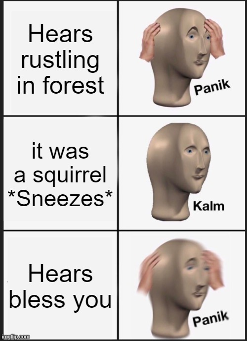 OOOOH NOOOOoooooOOOoOoo | Hears rustling in forest; it was a squirrel *Sneezes*; Hears bless you | image tagged in memes,panik kalm panik | made w/ Imgflip meme maker