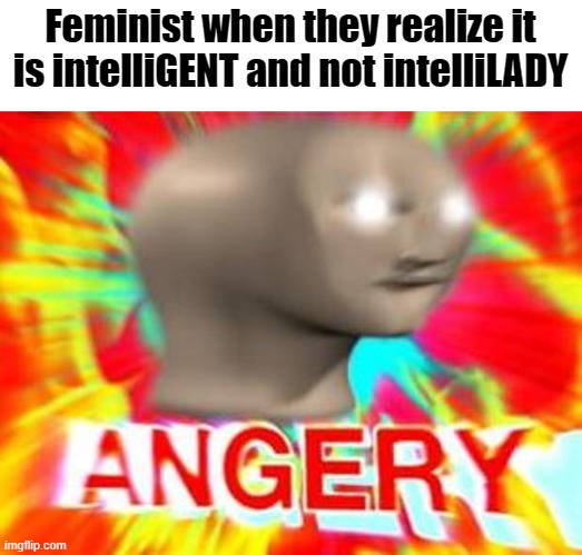 Surreal Angery | Feminist when they realize it is intelliGENT and not intelliLADY | image tagged in surreal angery | made w/ Imgflip meme maker