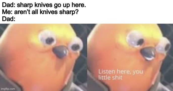 Listen Up, Kid | Dad: sharp knives go up here. 
Me: aren’t all knives sharp?
Dad: | image tagged in listen here you little shit bird | made w/ Imgflip meme maker