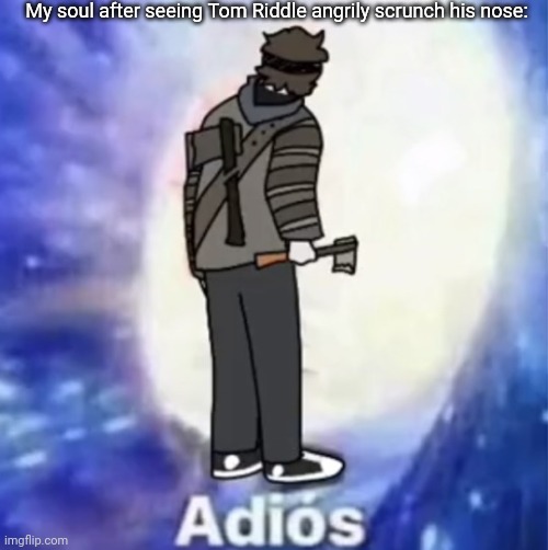 Toby Adios | My soul after seeing Tom Riddle angrily scrunch his nose: | image tagged in toby adios | made w/ Imgflip meme maker