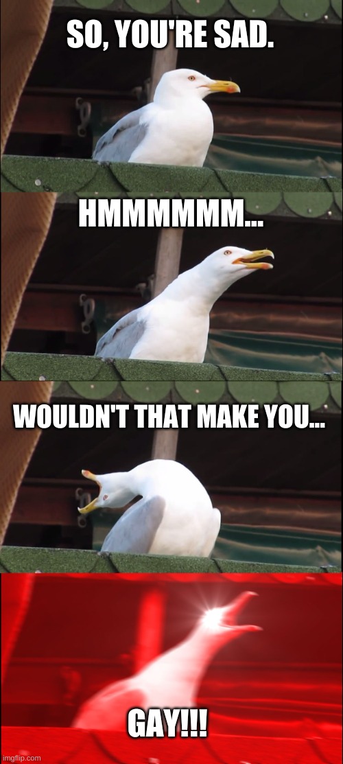 You can't do that! That's Wack!! |  SO, YOU'RE SAD. HMMMMMM... WOULDN'T THAT MAKE YOU... GAY!!! | image tagged in memes,inhaling seagull,thats wack,not gay | made w/ Imgflip meme maker
