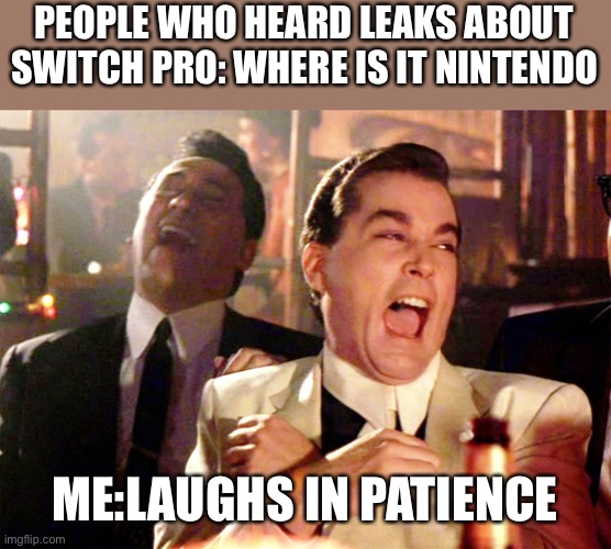 It defiantly is coming soon but it might be next week who knows but it definitely before e3 | PEOPLE WHO HEARD LEAKS ABOUT SWITCH PRO: WHERE IS IT NINTENDO; ME:LAUGHS IN PATIENCE | image tagged in memes,good fellas hilarious,patience | made w/ Imgflip meme maker