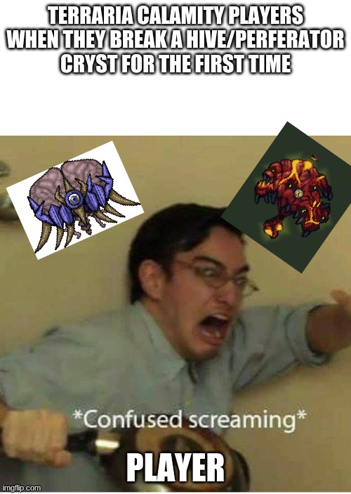 i get to use mods | TERRARIA CALAMITY PLAYERS WHEN THEY BREAK A HIVE/PERFERATOR CRYST FOR THE FIRST TIME; PLAYER | image tagged in confused screaming | made w/ Imgflip meme maker