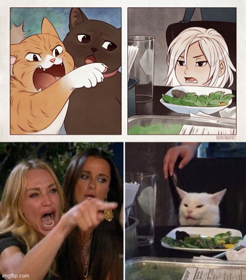 What’s the difference? | image tagged in cat yelling at girl,angry lady cat | made w/ Imgflip meme maker