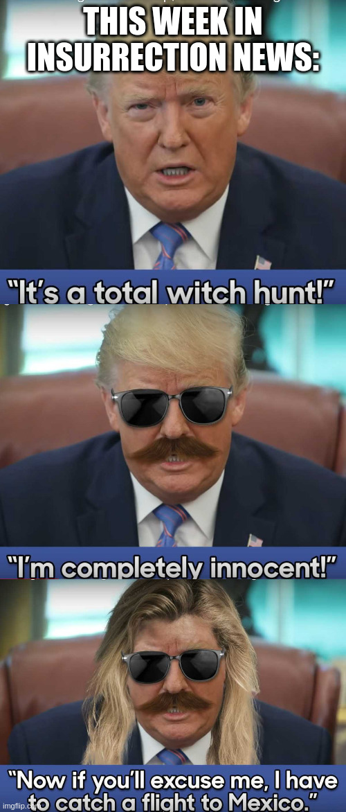 Just another normal day for the frito dictator | THIS WEEK IN INSURRECTION NEWS: | image tagged in rumpt,insurrection,denial | made w/ Imgflip meme maker