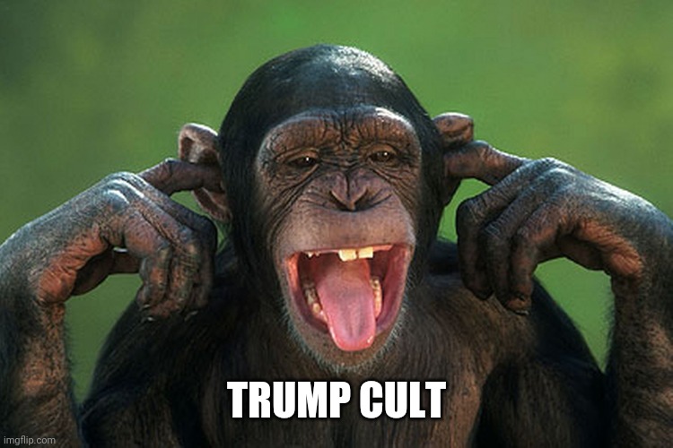I can't hear you | TRUMP CULT | image tagged in i can't hear you | made w/ Imgflip meme maker