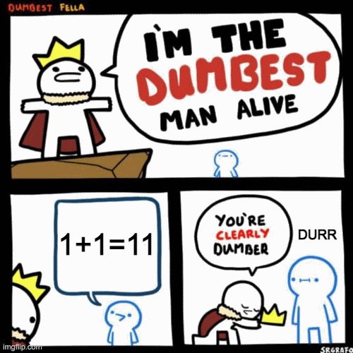 I'm the dumbest man alive | 1+1=11; DURR | image tagged in i'm the dumbest man alive | made w/ Imgflip meme maker