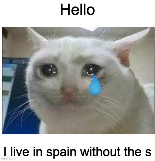 Spain without the s | Hello; I live in spain without the s | image tagged in crying cat,hello,i live in spain without the s,sad but true,memes,funny | made w/ Imgflip meme maker
