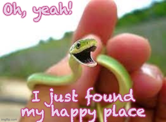Happy summer, sneks! | Oh, yeah! I just found my happy place | image tagged in happy snek,snake,cute,snek,reptile | made w/ Imgflip meme maker