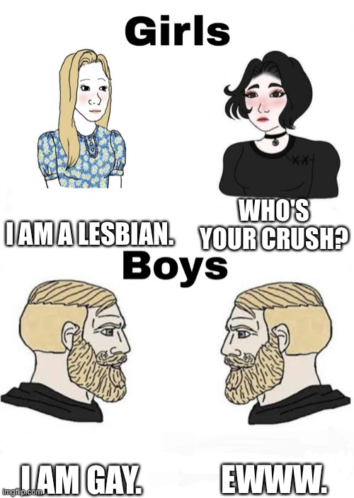 Girls vs Boys | I AM A LESBIAN. WHO'S YOUR CRUSH? EWWW. I AM GAY. | image tagged in girls vs boys | made w/ Imgflip meme maker