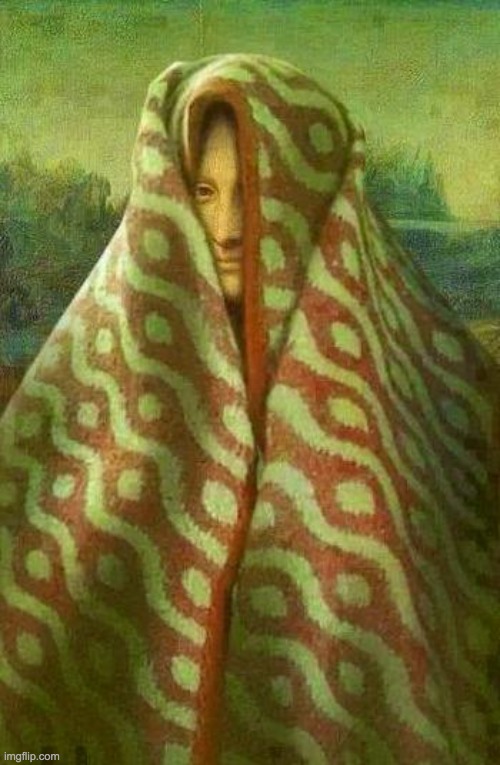 mona lisa blanket | image tagged in mona lisa blanket | made w/ Imgflip meme maker