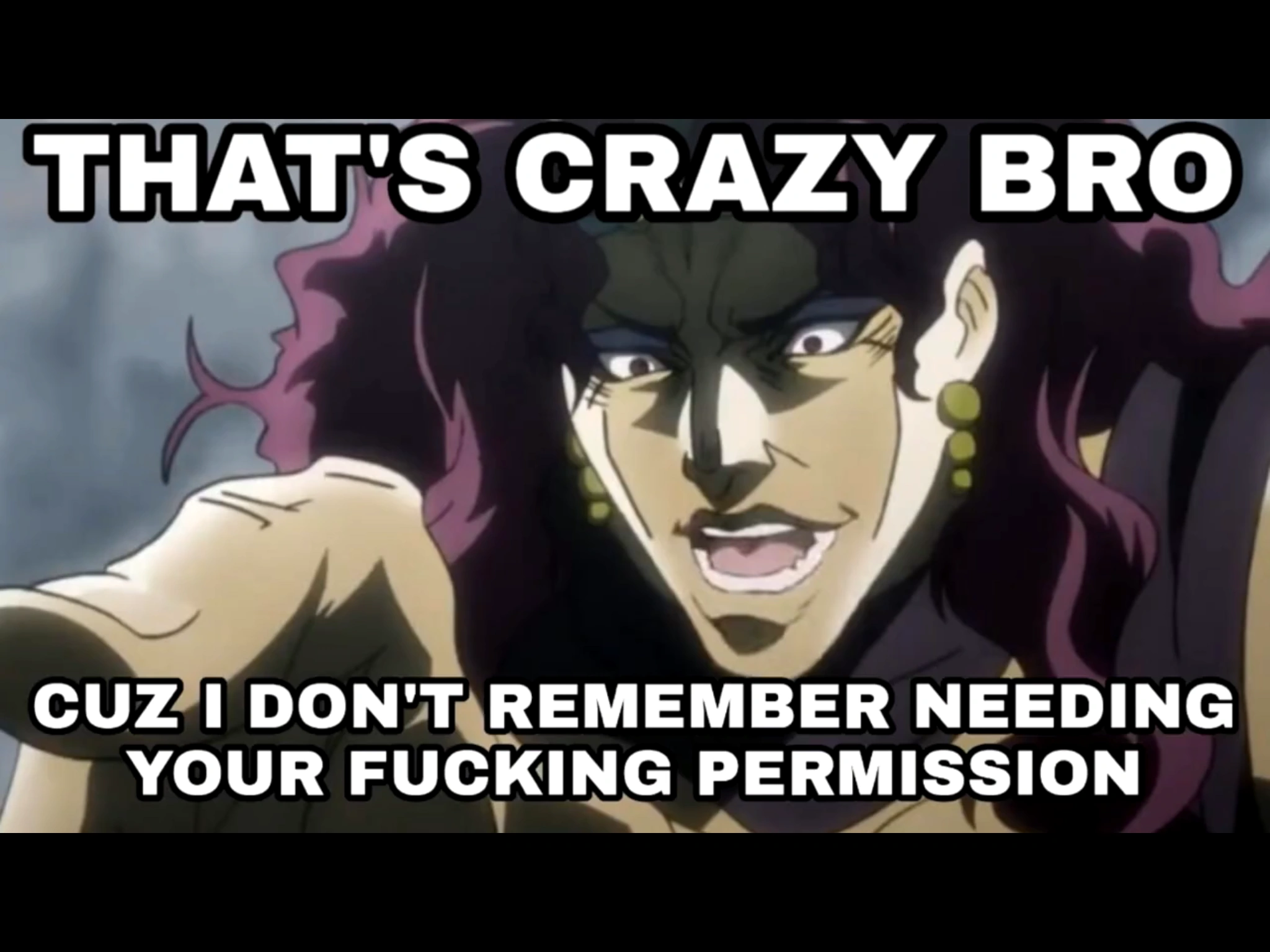 Kars I don’t remember needing your permission Blank Meme Template