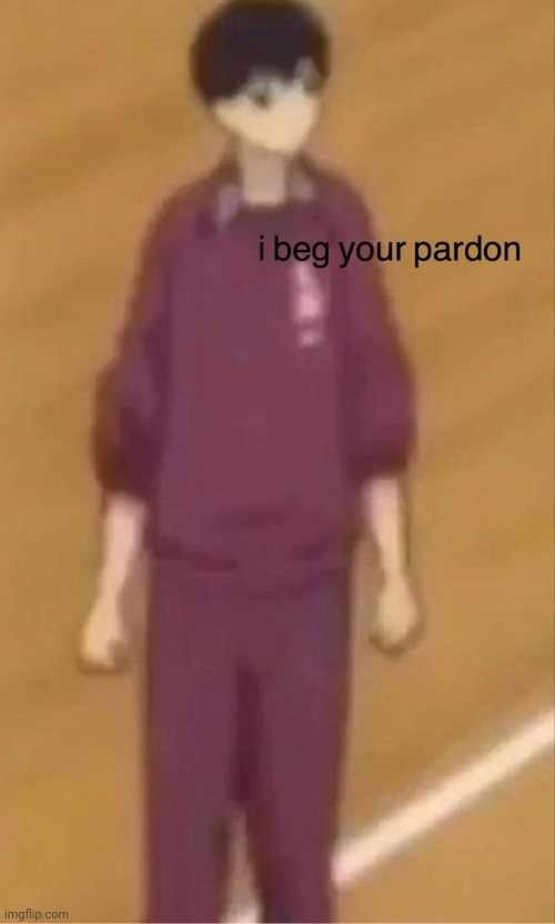 I beg your pardon | image tagged in i beg your pardon | made w/ Imgflip meme maker