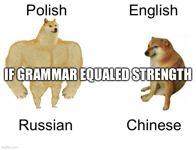Languages | Polish; English; IF GRAMMAR EQUALED STRENGTH; Russian; Chinese | image tagged in memes,buff doge vs cheems | made w/ Imgflip meme maker