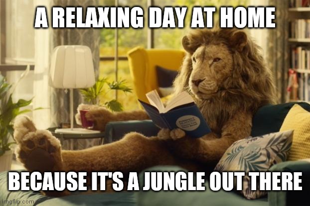 Lion relaxing | A RELAXING DAY AT HOME BECAUSE IT'S A JUNGLE OUT THERE | image tagged in lion relaxing | made w/ Imgflip meme maker