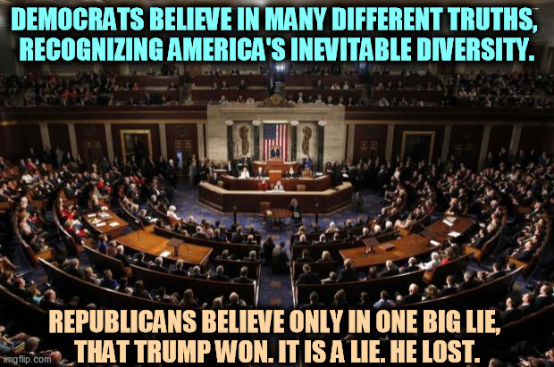 GOP = jerks. | DEMOCRATS BELIEVE IN MANY DIFFERENT TRUTHS, 
RECOGNIZING AMERICA'S INEVITABLE DIVERSITY. REPUBLICANS BELIEVE ONLY IN ONE BIG LIE, 
THAT TRUMP WON. IT IS A LIE. HE LOST. | image tagged in congress,democrats,serious,republicans,jerks | made w/ Imgflip meme maker