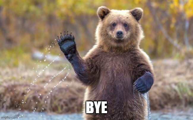 bye bye bear | BYE | image tagged in bye bye bear | made w/ Imgflip meme maker