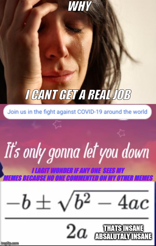 WHY; I CANT GET A REAL JOB; I LAGIT WONDER IF ANY ONE  SEES MY MEMES BECAUSE NO ONE COMMENTED ON MY OTHER MEMES; THATS INSANE ABSALUTALY INSANE | image tagged in memes,first world problems | made w/ Imgflip meme maker