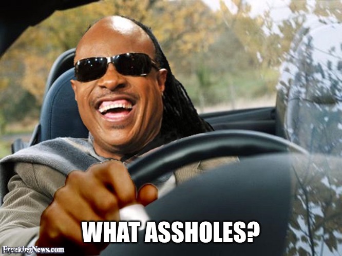 Stevie Wonder Driving | WHAT ASSHOLES? | image tagged in stevie wonder driving | made w/ Imgflip meme maker
