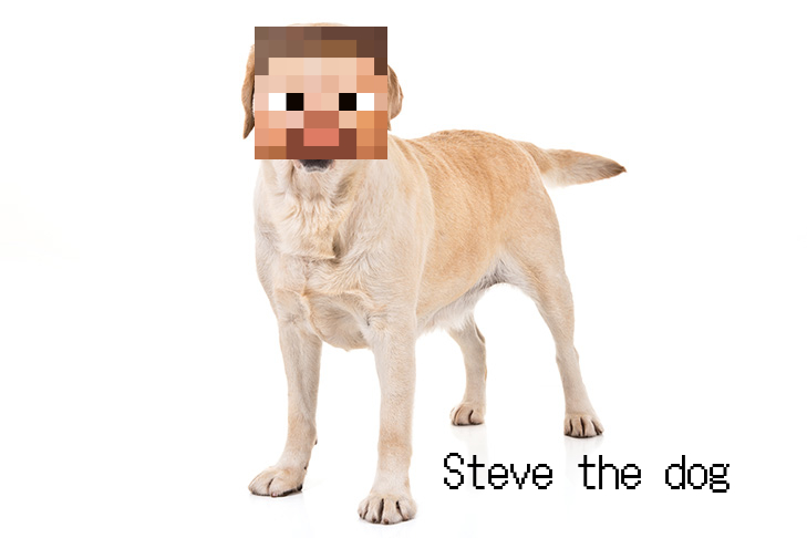 Steve The Dog Blank Meme Template