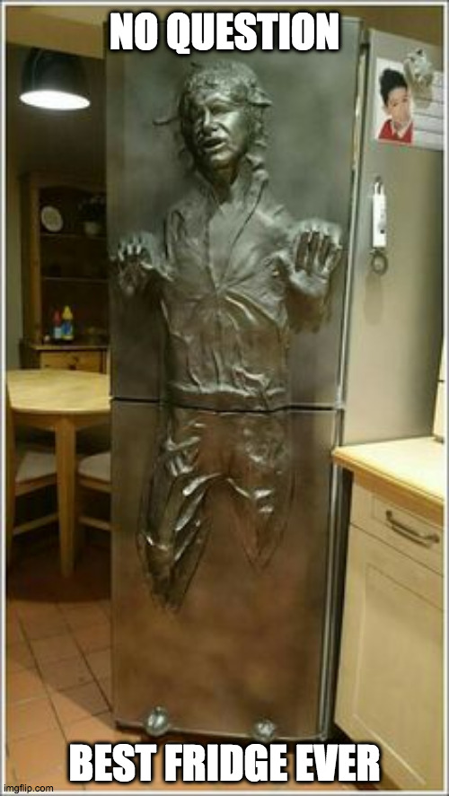 Han on ice | NO QUESTION; BEST FRIDGE EVER | image tagged in fun | made w/ Imgflip meme maker