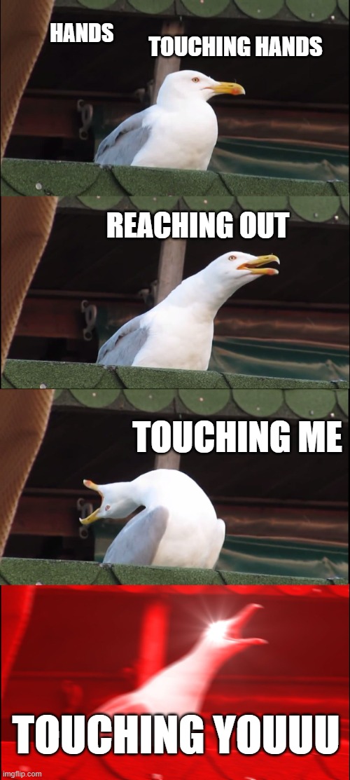 Hands... | TOUCHING HANDS; HANDS; REACHING OUT; TOUCHING ME; TOUCHING YOUUU | image tagged in inhaling seagull,1960s,1970s,song lyrics,music,pop music | made w/ Imgflip meme maker